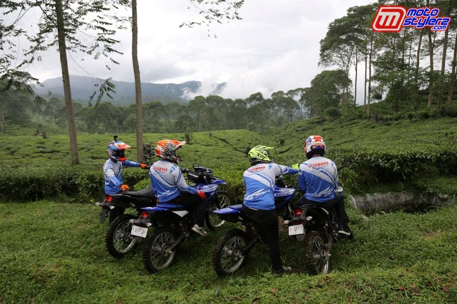 Menikmati Keindahan Kebun Teh-Pengalaman Menarik Bareng Tempat Istirahat Favorit