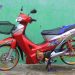 Mothai Indo Style Pemula by Bale Hydrographic