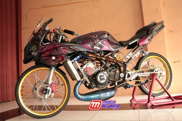 Ninja RR Racing Look by Budi
