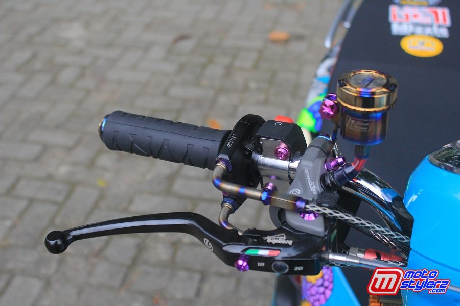 Stang Area-Multi Brand Accesories