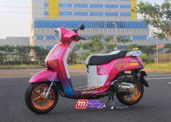Fazzio Fashion Modif by JBM Modified
