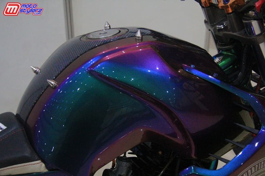 Repaint-All Out Fashionable Bareng Cat Taibantenk Colour Effect