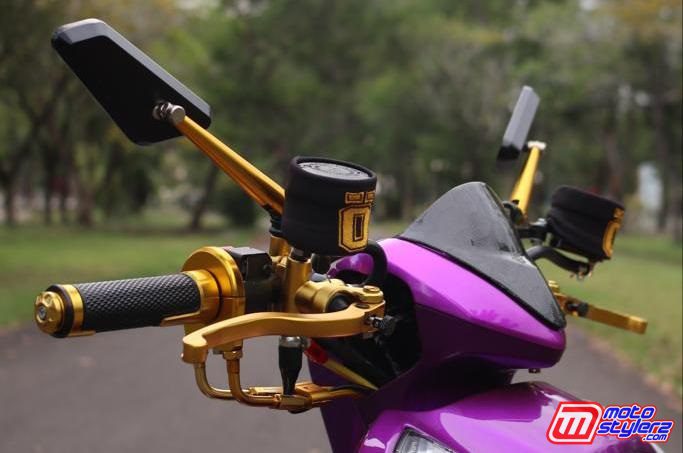 Aseso Stang-Multi Brand Gold