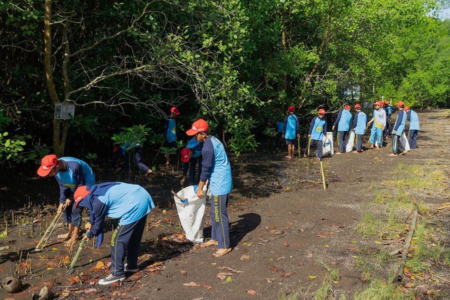 Peringati Hari Lingkungan Hidup Sedunia, Yayasan AHM Tanam Puluhan Ribu Mangrove
